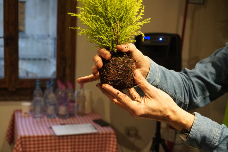 Esperienze creative di team building Kokedama per Akamas