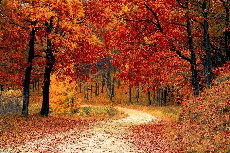 Le destinazioni preferite per un viaggio incentive autunnale