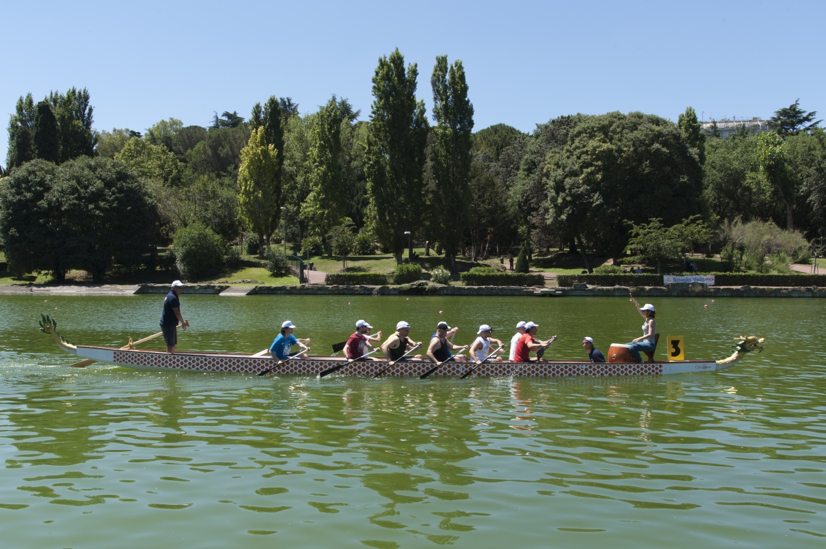 Dragon Boat
