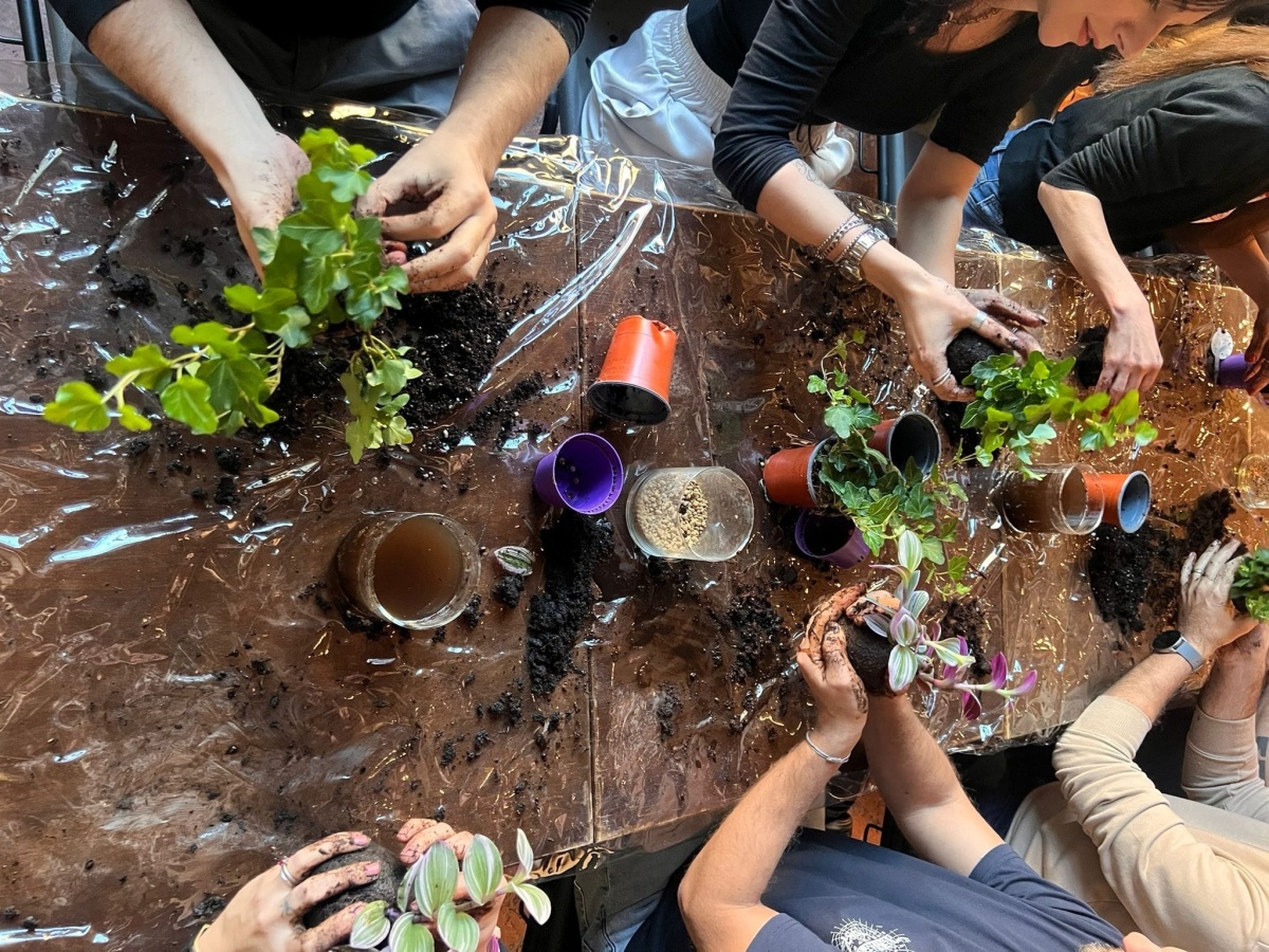 Workshop Kokedama