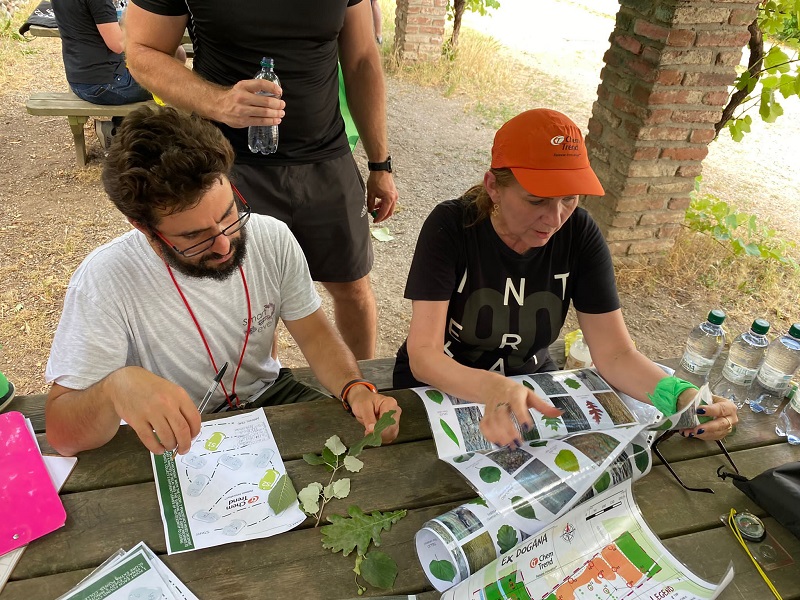 Team Building Orienteering e Survival